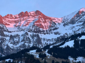 2-Zimmer Studio mit grossem Balkon und Bergpanorama - 400m von Talstation Sillerenbahn Adelboden